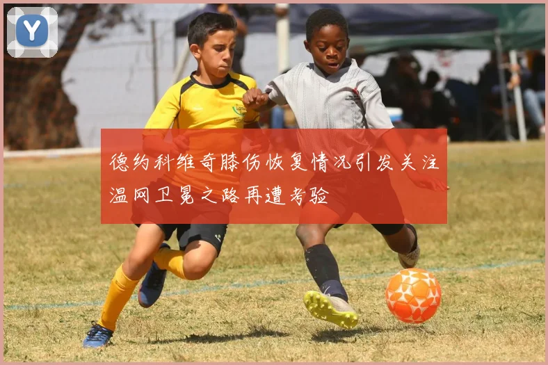 德约科维奇膝伤恢复情况引发关注温网卫冕之路再遭考验
